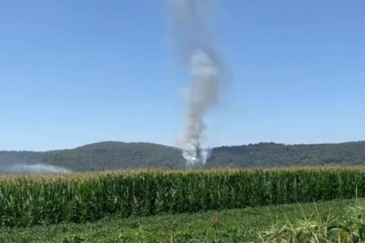 Sakarya'da bir başka yangın daha!