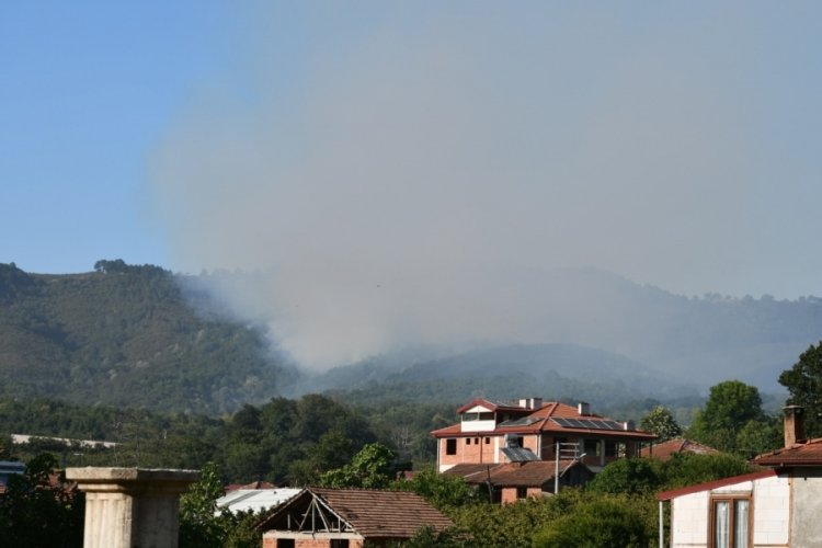Sakarya Hendek'teki orman yangını kontrol altına alındı