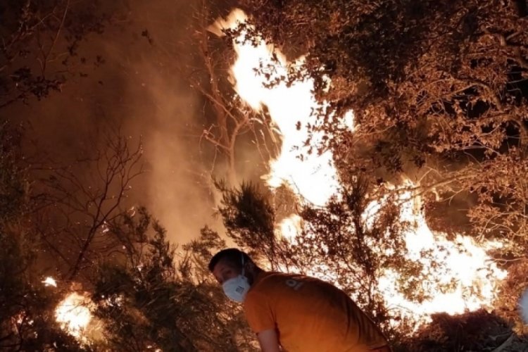 Gece yarısı orman yangını: 7 dönüm alan kül oldu