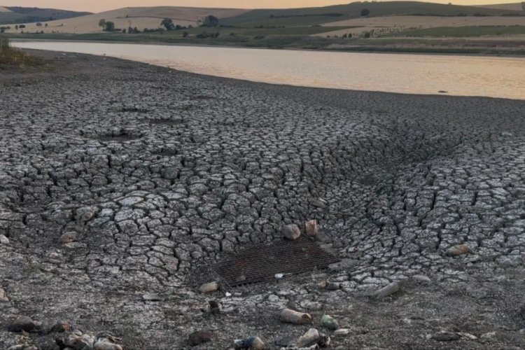 Baraj kurudu, balıkların son hali yetkilileri harekete geçirdi