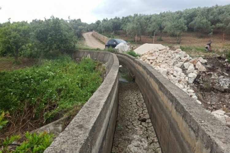 Bursalı üreticiler isyanda! Büyük bir sorun haline geldi