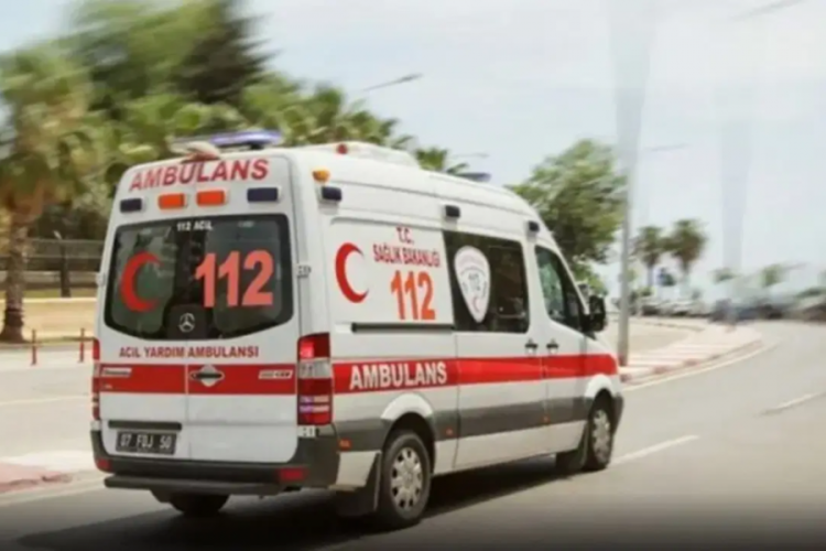 Üzerine ağaç dalı düşen genç kız hayatını kaybett