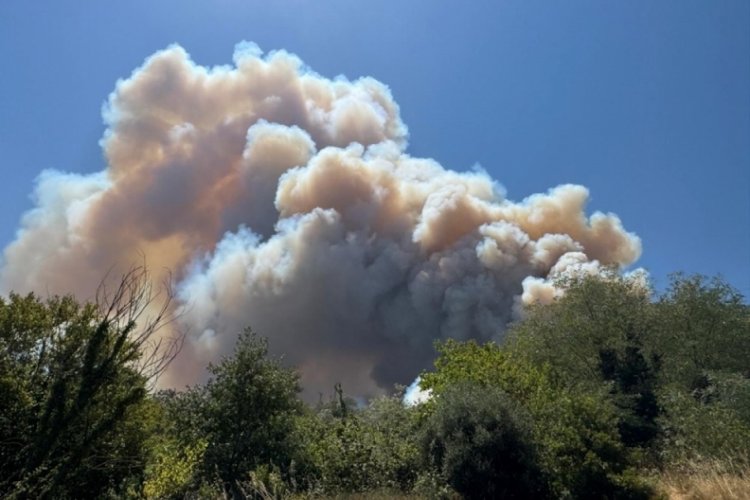 Sakarya'da yeni orman yangını başladı