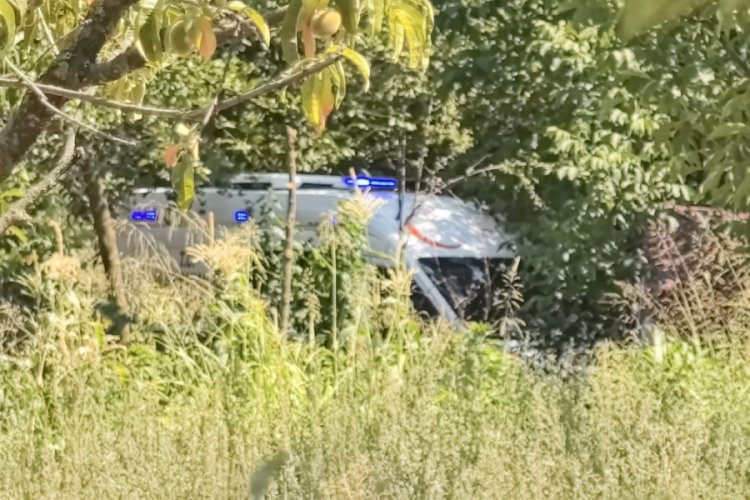 Bursa'da tüyler ürperten olay! Tarlada cansız bedeni bulundu...