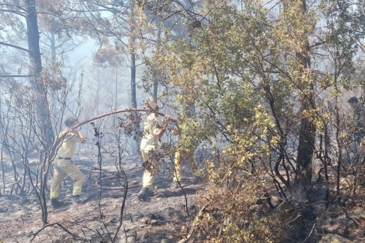 Antalya'daki orman yangınında 2,8 hektarlık alan zarar gördü