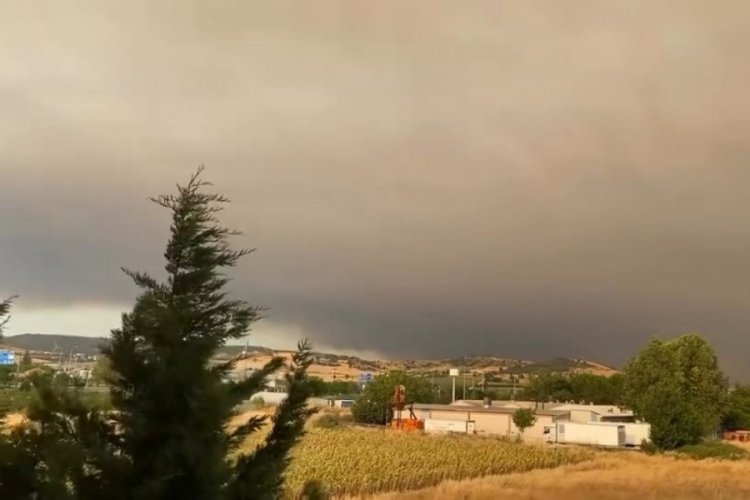  Bilecik'teki yangının dumanları Bursa'ya ulaştı