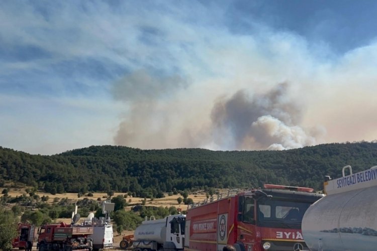 Eskişehir'deki orman yangınında 2 Denizlili ormancı şehit oldu