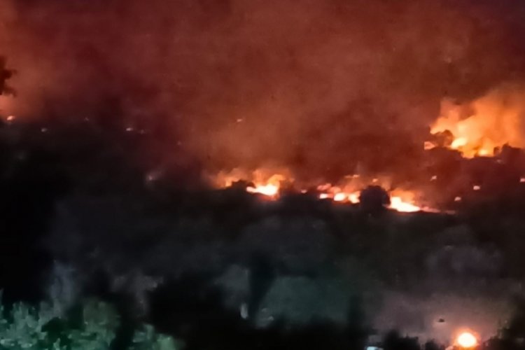  Dikili'de orman yangını: Çanakkale yolu ulaşıma kapatıldı