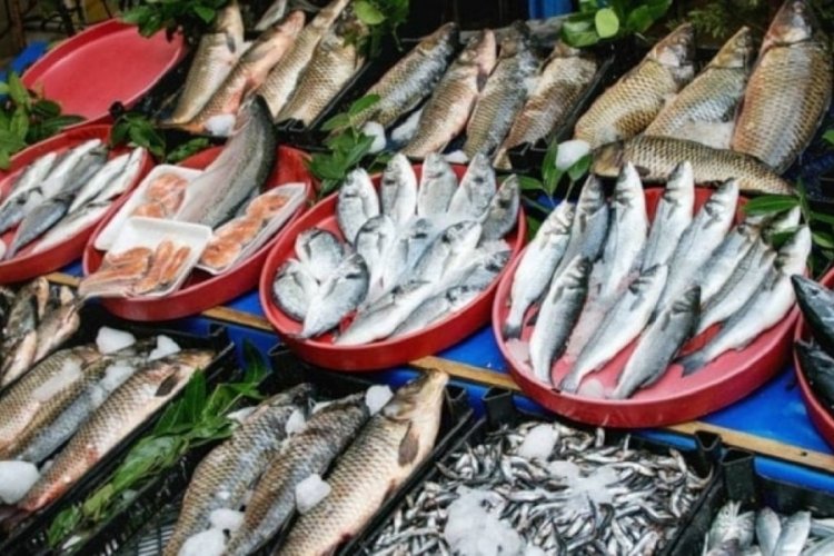 Ne mezgit ne de kalkan: Sofraların şampiyonu balık belli oldu