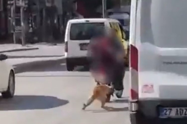 Motosikletin arkasına bağladıkları köpeği sürükleyerek götürdüler