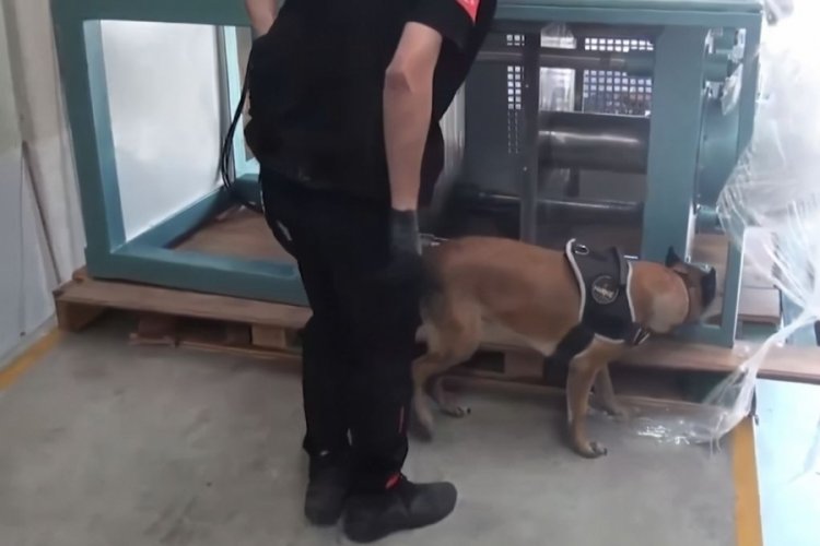 Uyuşturucu operasyonu: 60 kilogram kokain ele geçirildi