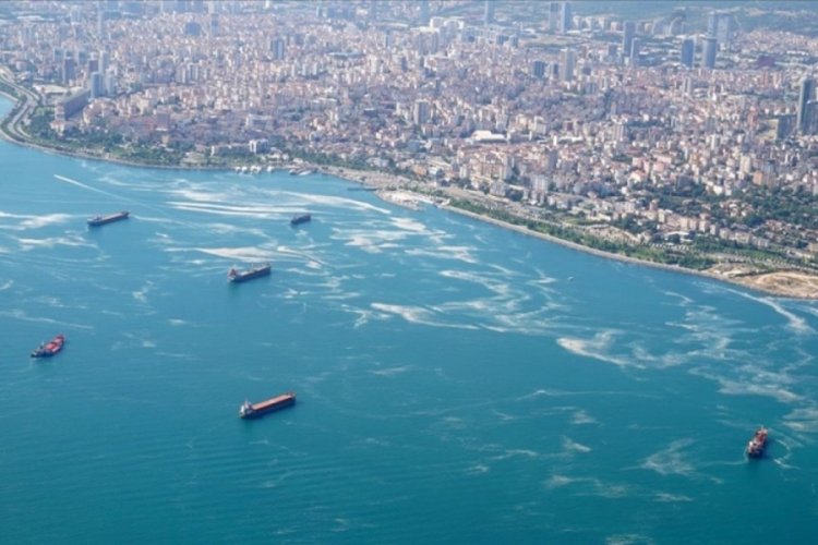 Bursa'da müsilaj kabusu geri mi geliyor? Uzmanından konuya dair açıklama...