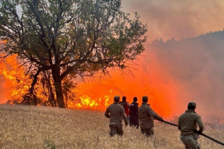 Yangın riski yüksek olan bölgelerde 'Risk Yönetim Ekibi' oluşturuldu