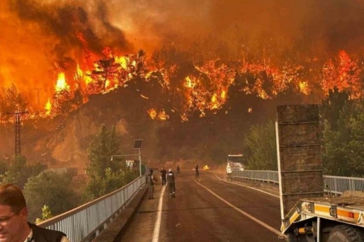 Herkesi kahreden fotoğraf! İneğin gözlerinden yaşlar süzüldü...