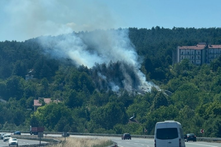 Bolu'da çıkan orman yangını büyümeden söndürüldü