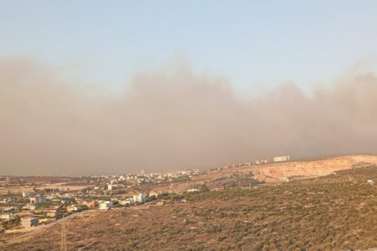 Mersin'de orman yangını
