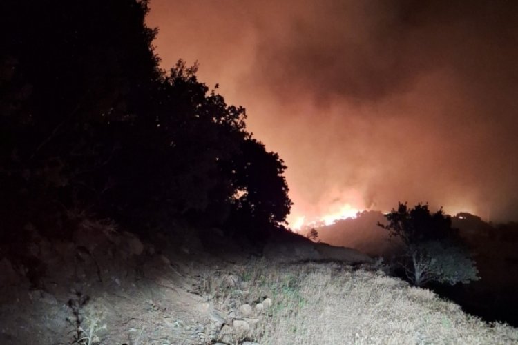 Manisa'nın Köprübaşı ilçesinde de orman yangını başladı