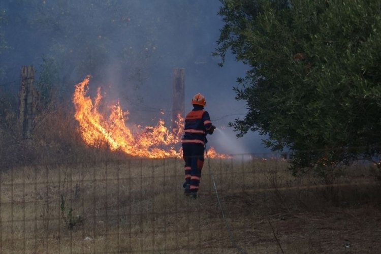İtalya'nın Sicilya Adası'nda orman yangınlarıyla mücadele