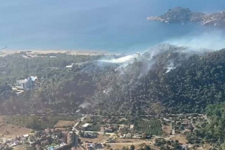 Türkiye güne yangınla başladı... 3 ilde orman yangını