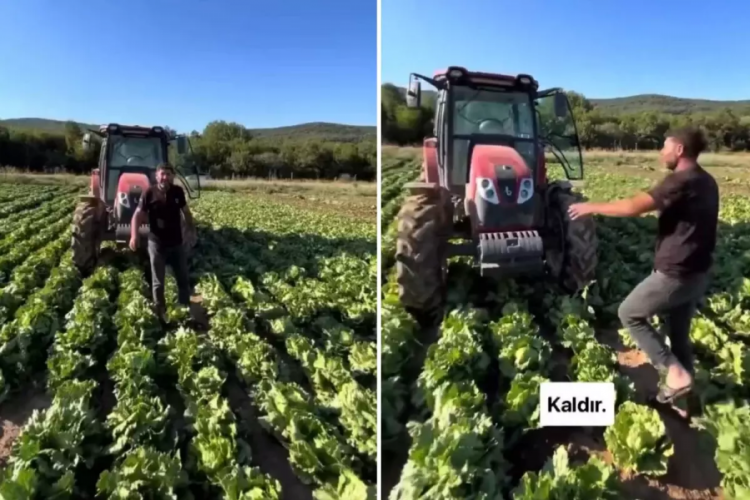 Tarlasındaki ürüne teklif edilen fiyat üreticiyi isyan ettirdi
