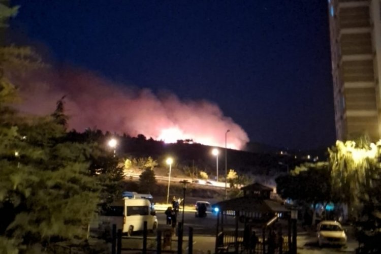 Bursa'daki yangın ciddi boyuta ulaştı! TOKİ'ler boşaltılıyor