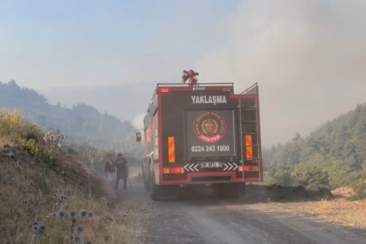 Bursa yangınından acı haber: 1 şehit