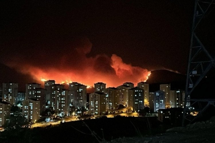 Toprağımız, ormanımız, geleceğimiz yanıyor!