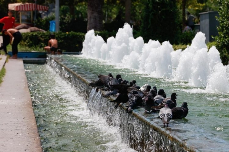 Yeni sıcak hava dalgası geliyor: 7-12 derece artacak