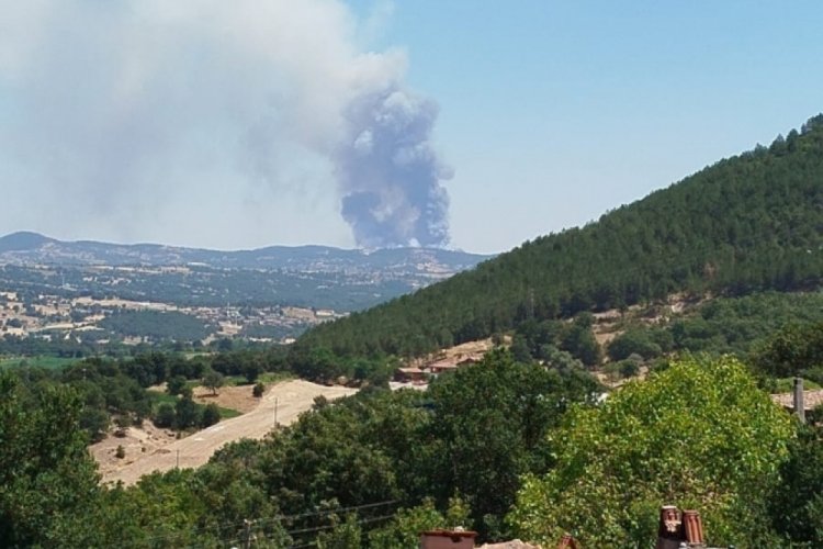 Orhaneli'de orman yangını! Ekipler sevk edildi&nbsp;
