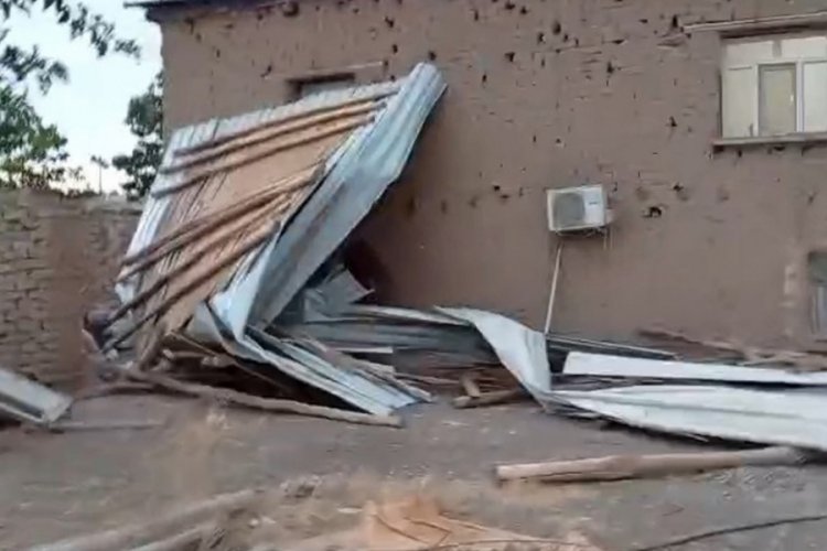 Kuvvetli rüzgar elektrik direğini devirdi; 6 inek akıma kapılıp öldü