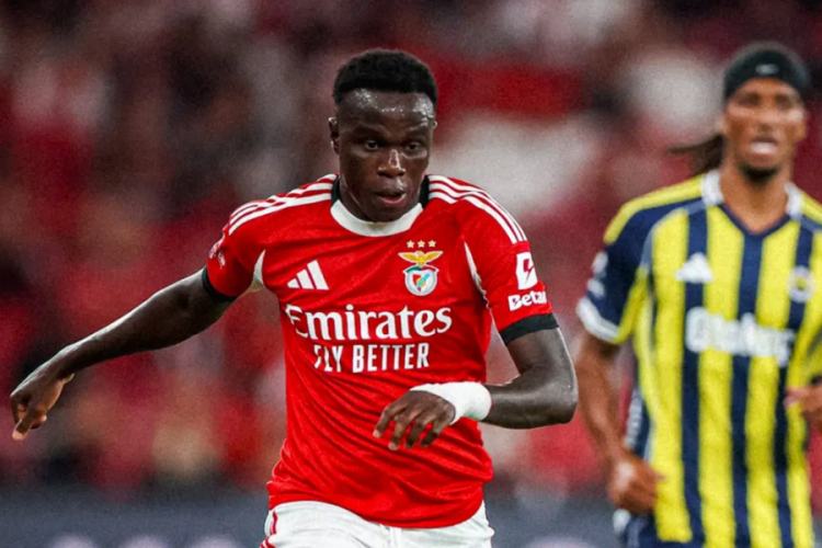 Bruma sezonu kapattı!