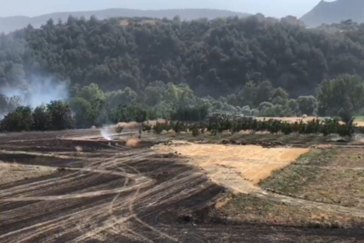 Bilecik'te tarım arazisinde çıkan yangın söndürüldü