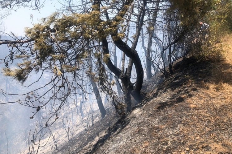  Esenyurt Belediyesi'nden Bursa'ya destek