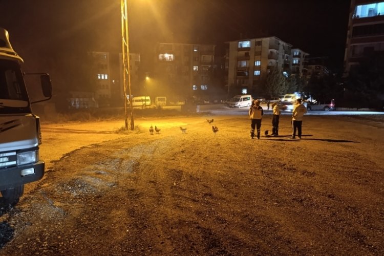 Kümes yangınında onlarca tavuk telef oldu!
