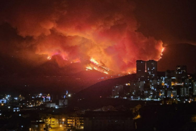 Bursa'daki yangınlarla ilgili son durum!