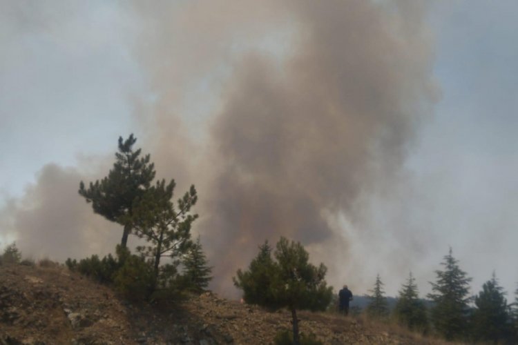 Bursa yine alevlere teslim! Yangın başka alana sıçradı...