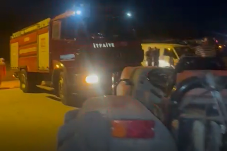 Bursa İznik'teki yangına hızlı müdahale! Ekipler ve vatandaşlar seferber oldu...