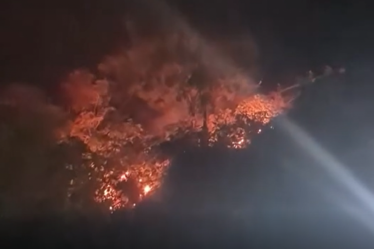 Bursa'da Tophane sırtlarında panik anları! İsyan ettiren bir iddia var...
