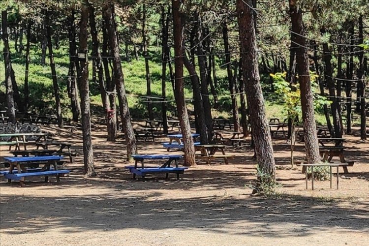 Çankırı'da piknik alanlarında ateş yakmak yasaklandı