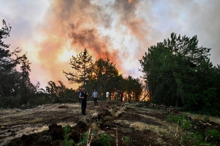 Orman yangınlarında ilk müdahale süresi 11 dakikaya indi