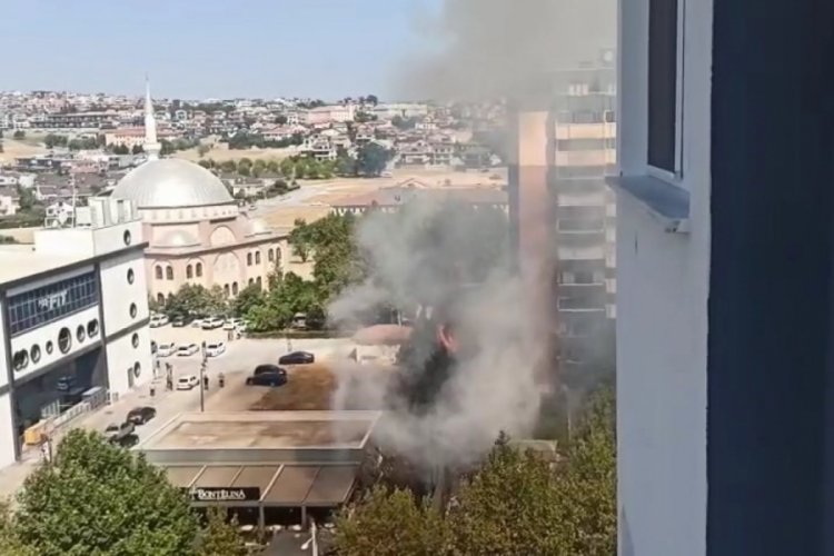 Bursa'da bir anda alev aldı!