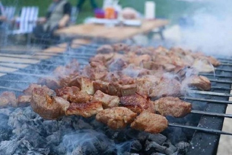 Bir ilde daha mangal yapmak yasaklandı!