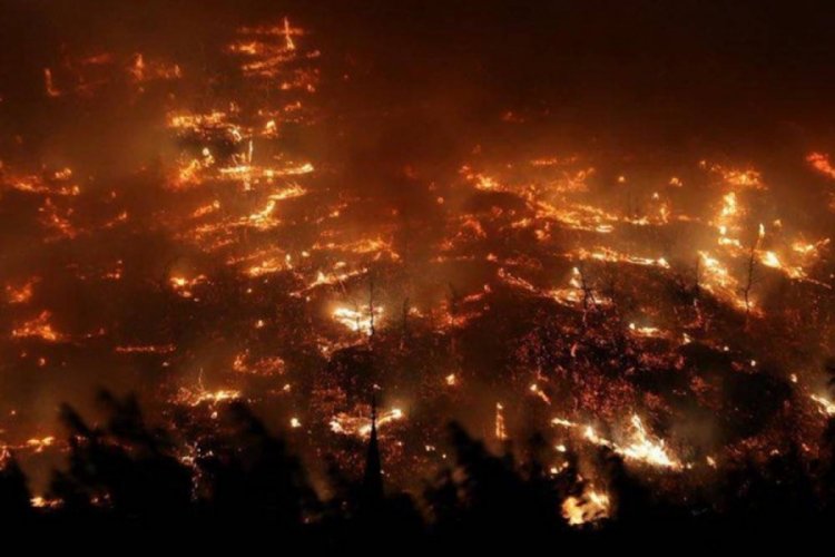 Bursa Büyükşehir duyurdu: yangına destek vermek isteyen vatandaşlar dikkat!