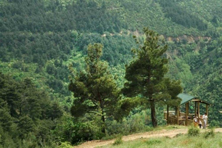Bursa ormanlarına dronlu denetim!