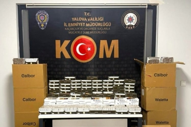 Bursa'nın hemen yanında yüz binlercesi ele geçirildi...