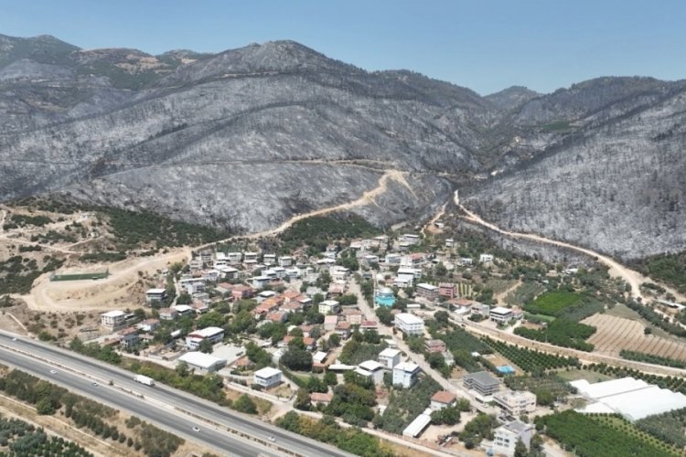 Bursa artık yeşil değil! Ormanlar böyle karardı...