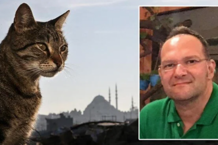 Kedi tüyünden ölüm haberlerine yalanlama