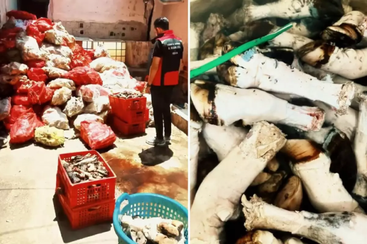 At ve eşek eti kullanımıyla g&uuml;ndeme gelen ilimizde bir skandal daha