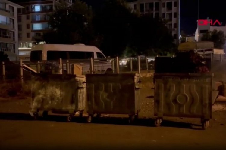 Kan donduran vahşet! Sokak kedisini katledip çöpe attı