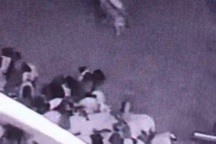 Ahıra giren kurt sürüye saldırdı! O anlar kameralara yansıdı...
